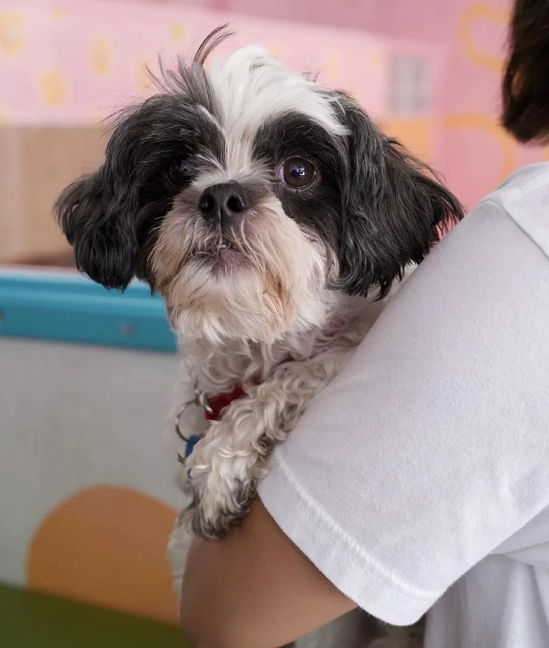 Betty thumbnail 4