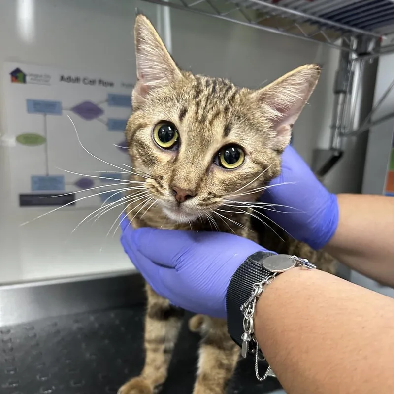 Mr. Suzie thumbnail 2