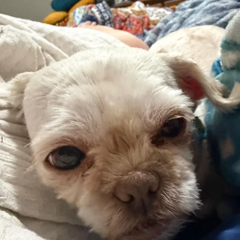 Lillian thumbnail 3