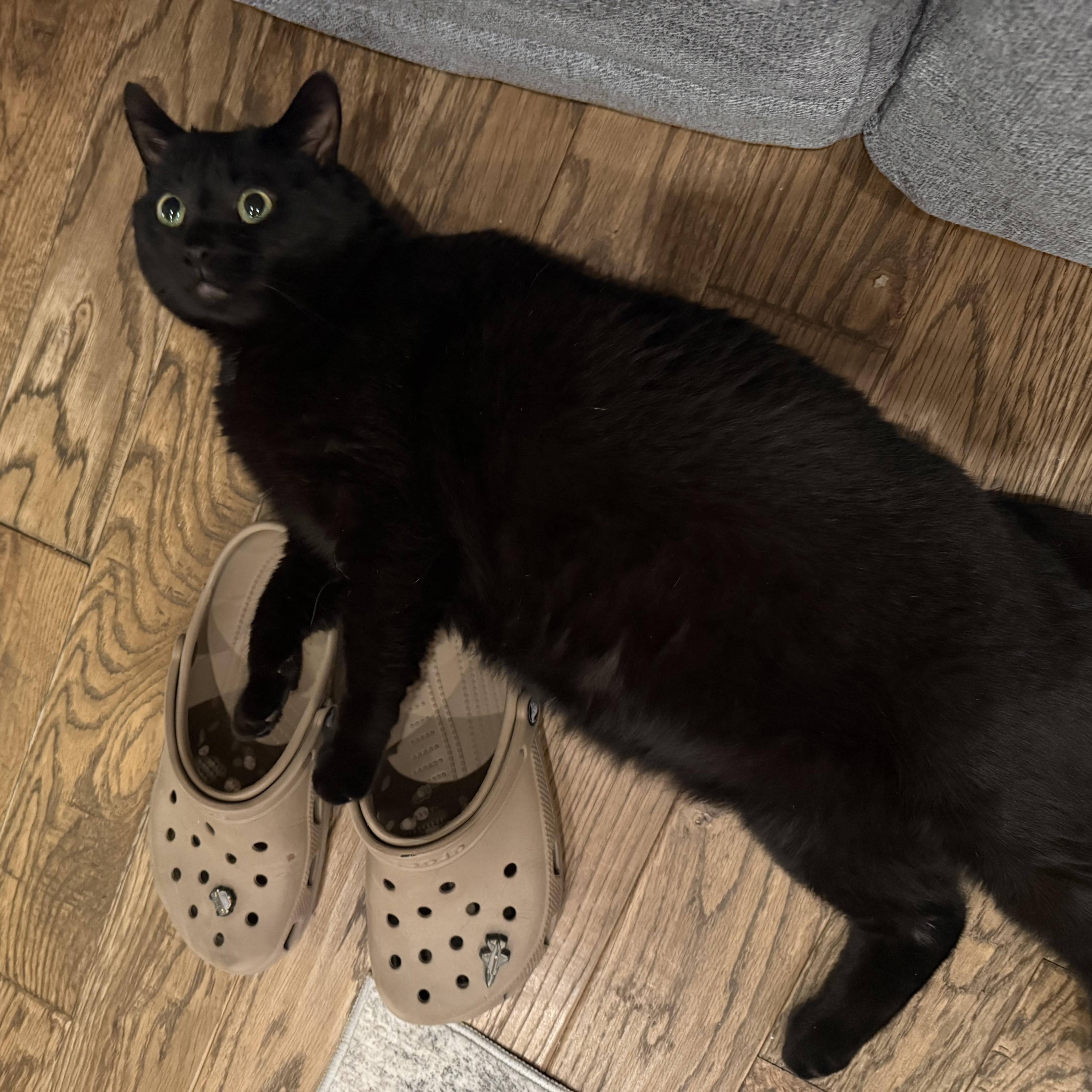 Big Buddy thumbnail 2