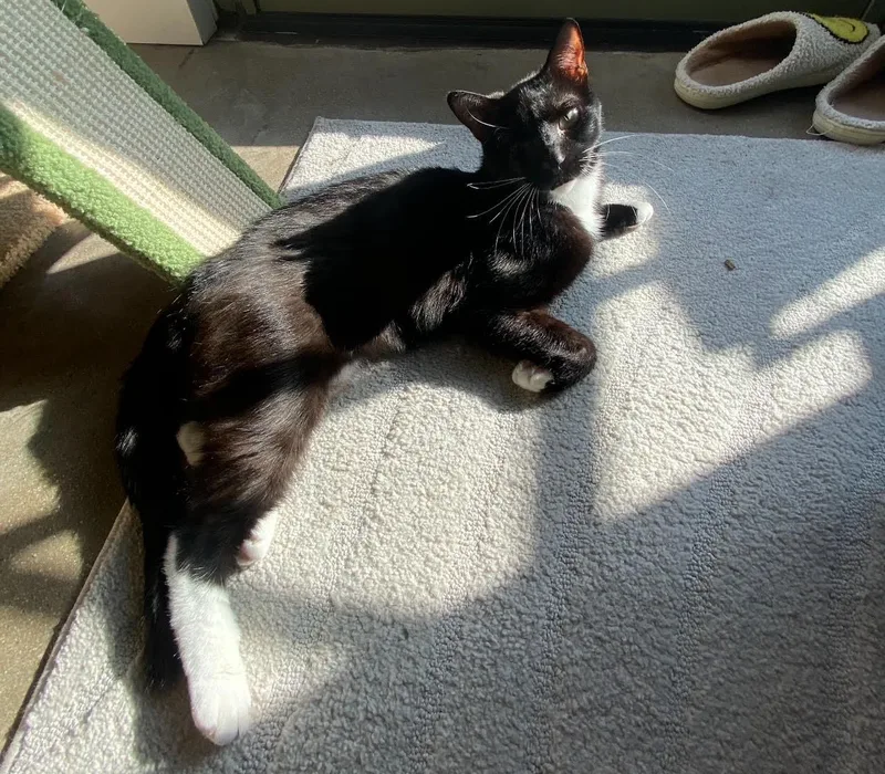 Michael Aka Pirate thumbnail 2