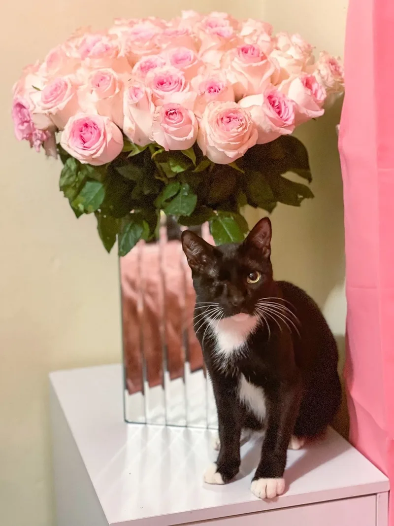 Michael Aka Pirate thumbnail 4