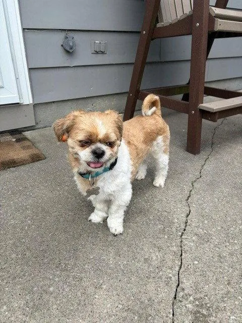 Benji