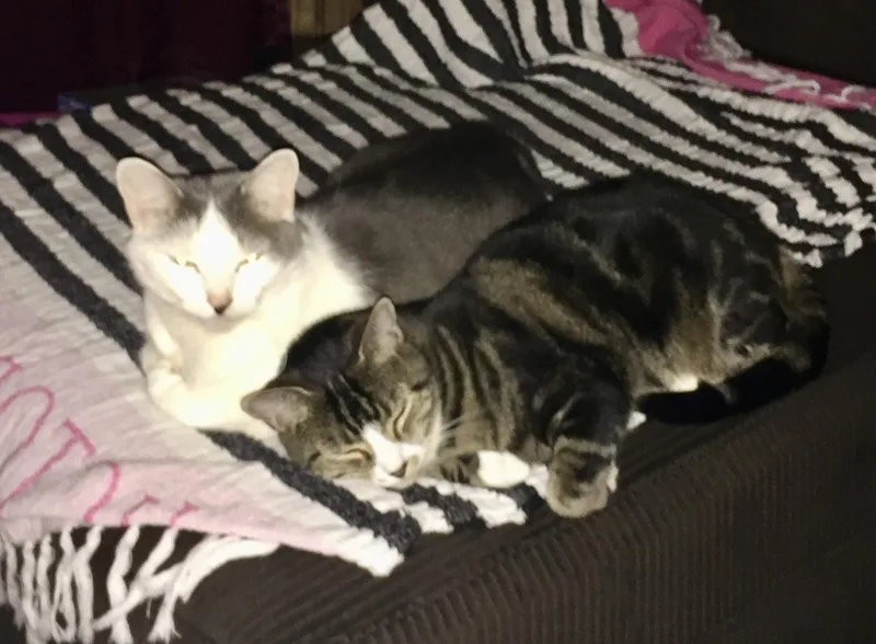 Coco & Tubs thumbnail 2