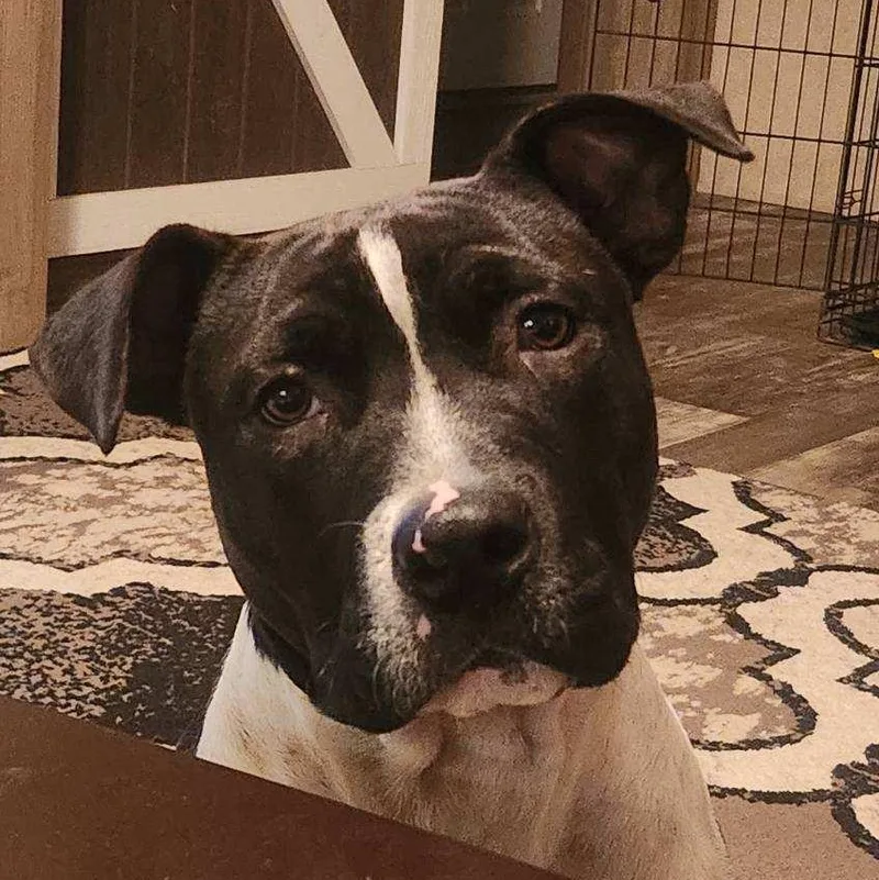 Roscoe