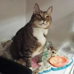 Bughandsome Dude Comes With thumbnail 2