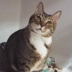 Bughandsome Dude Comes With