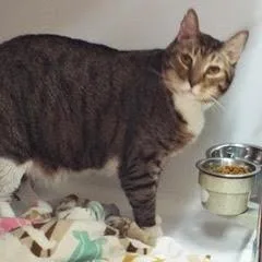 Bughandsome Dude Comes With thumbnail 3