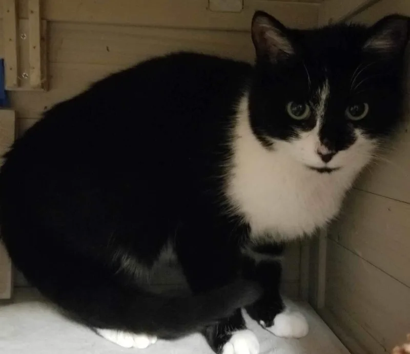 Mac  Indooroutdoor thumbnail 4