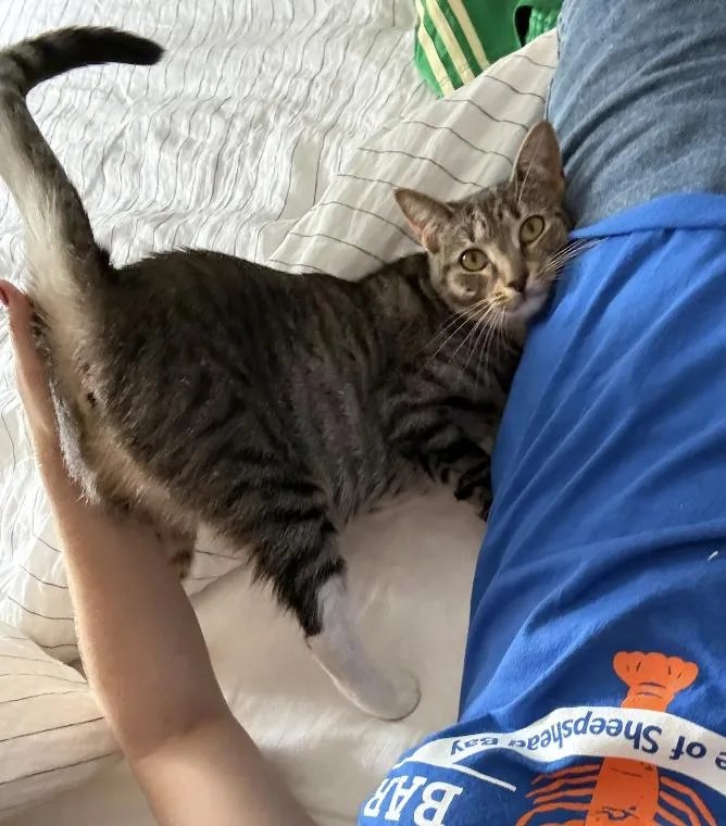 Butterfinger thumbnail 3