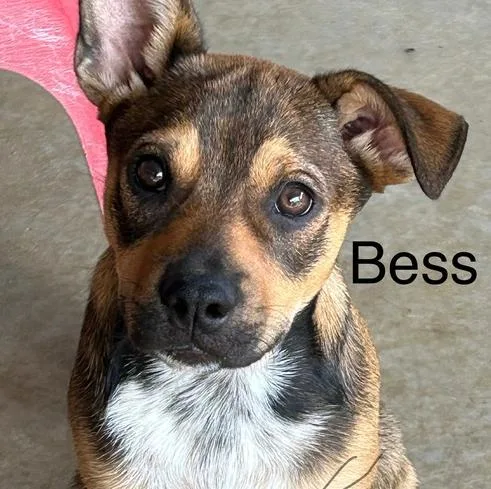 Bess thumbnail 2