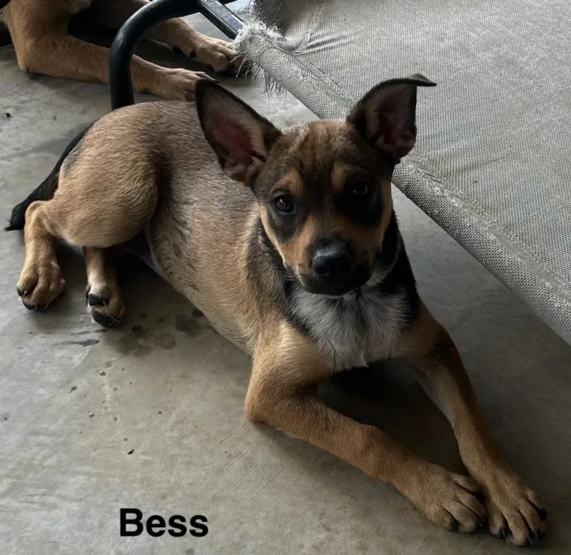 Bess thumbnail 4