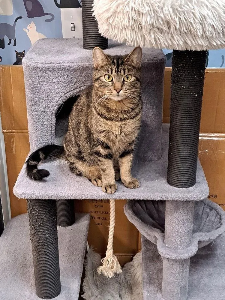 Lovely Rita thumbnail 2