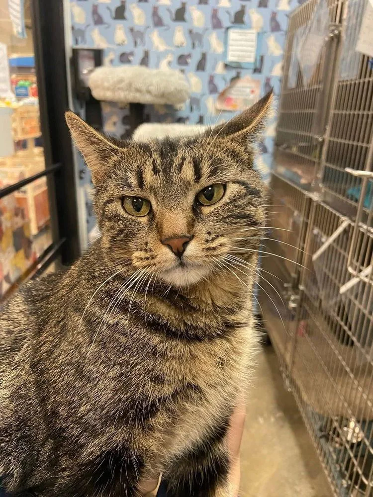 Lovely Rita thumbnail 3