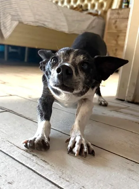 Bartholomew thumbnail 2