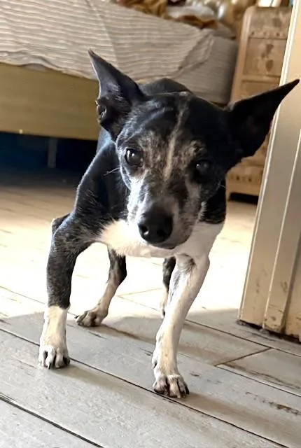 Bartholomew thumbnail 4