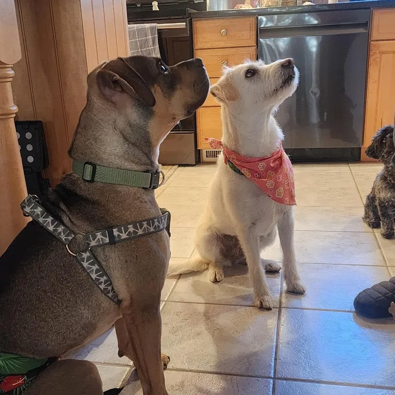 Sonny! The Quiet Cuddle thumbnail 2