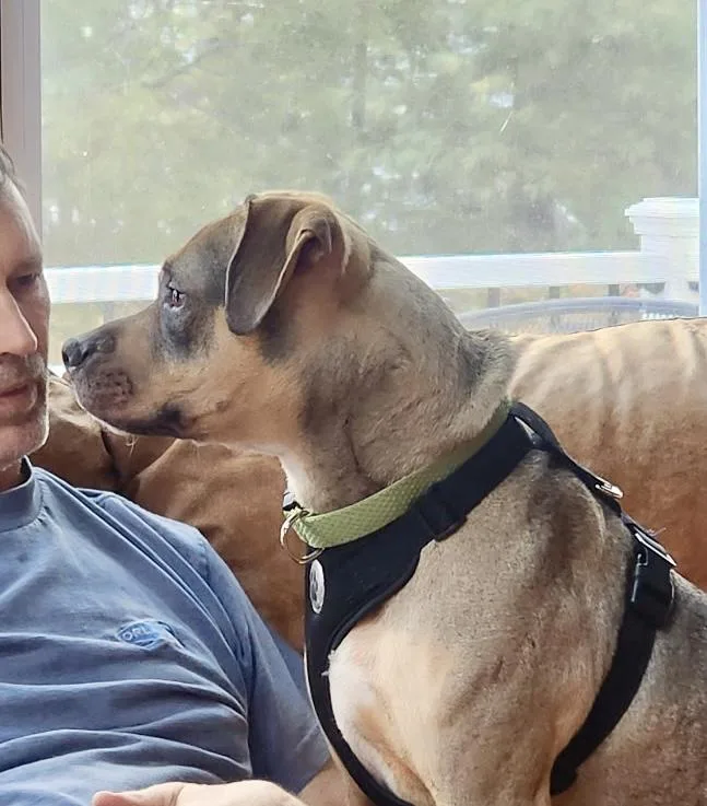 Sonny! The Quiet Cuddle thumbnail 6