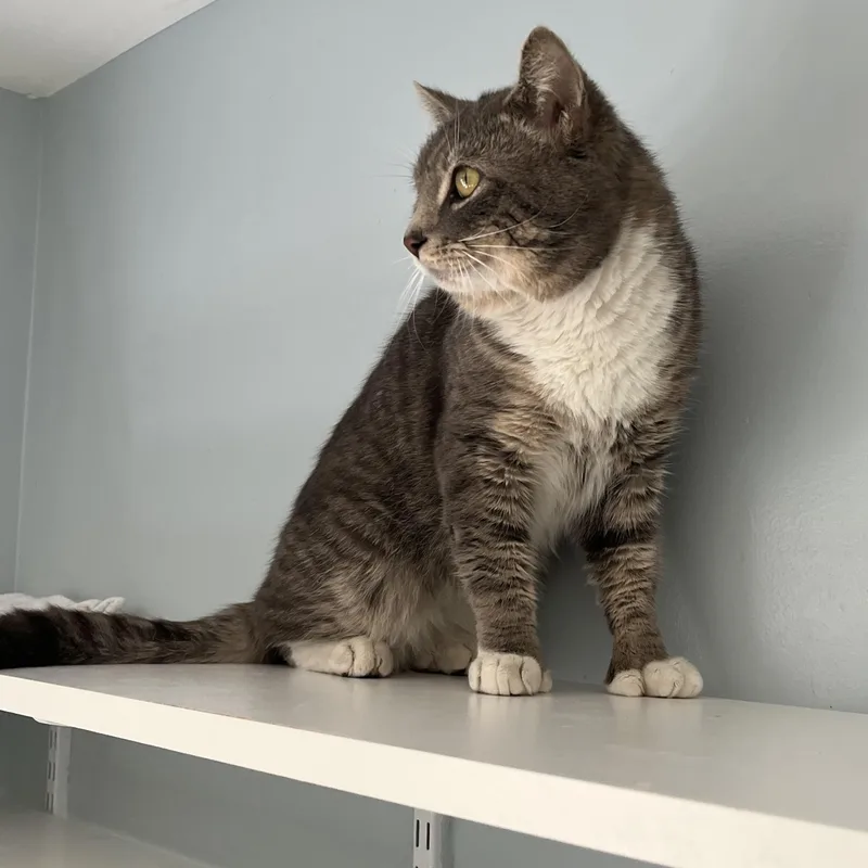 Wb Mason thumbnail 2