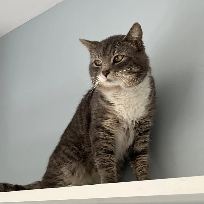 Wb Mason thumbnail 3