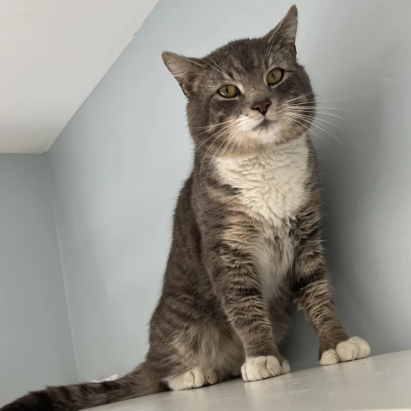 Wb Mason thumbnail 4