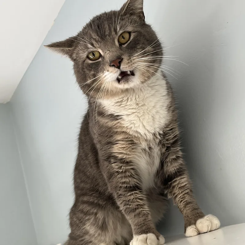 Wb Mason thumbnail 5