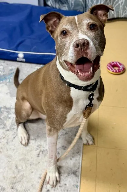 Buzz Lightyear thumbnail 2