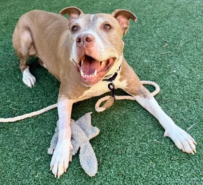 Buzz Lightyear thumbnail 3