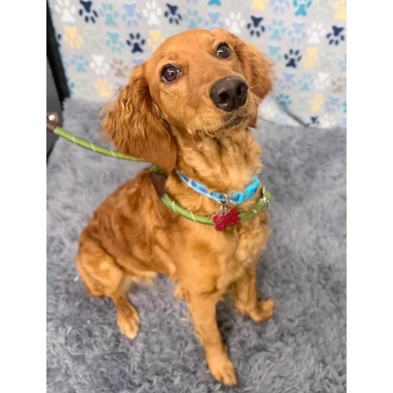 Winnie