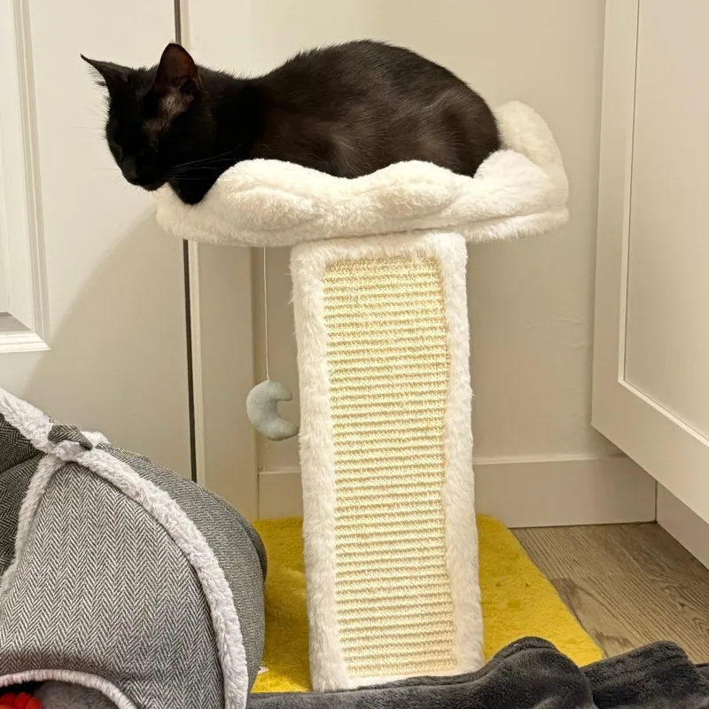 Salem thumbnail 3