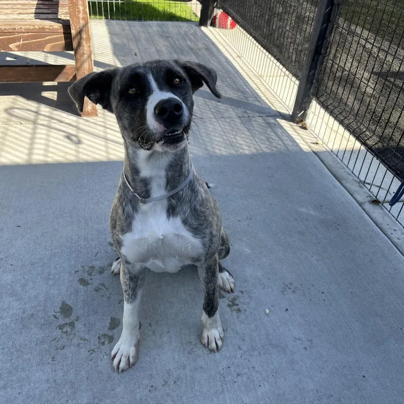 Daisy Mae thumbnail 2