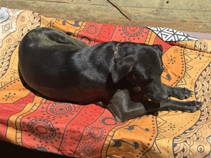 Coco