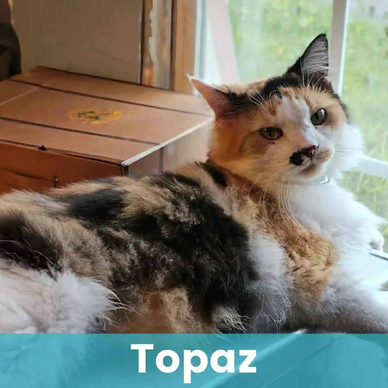 Topaz thumbnail 3