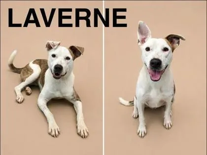 Laverne
