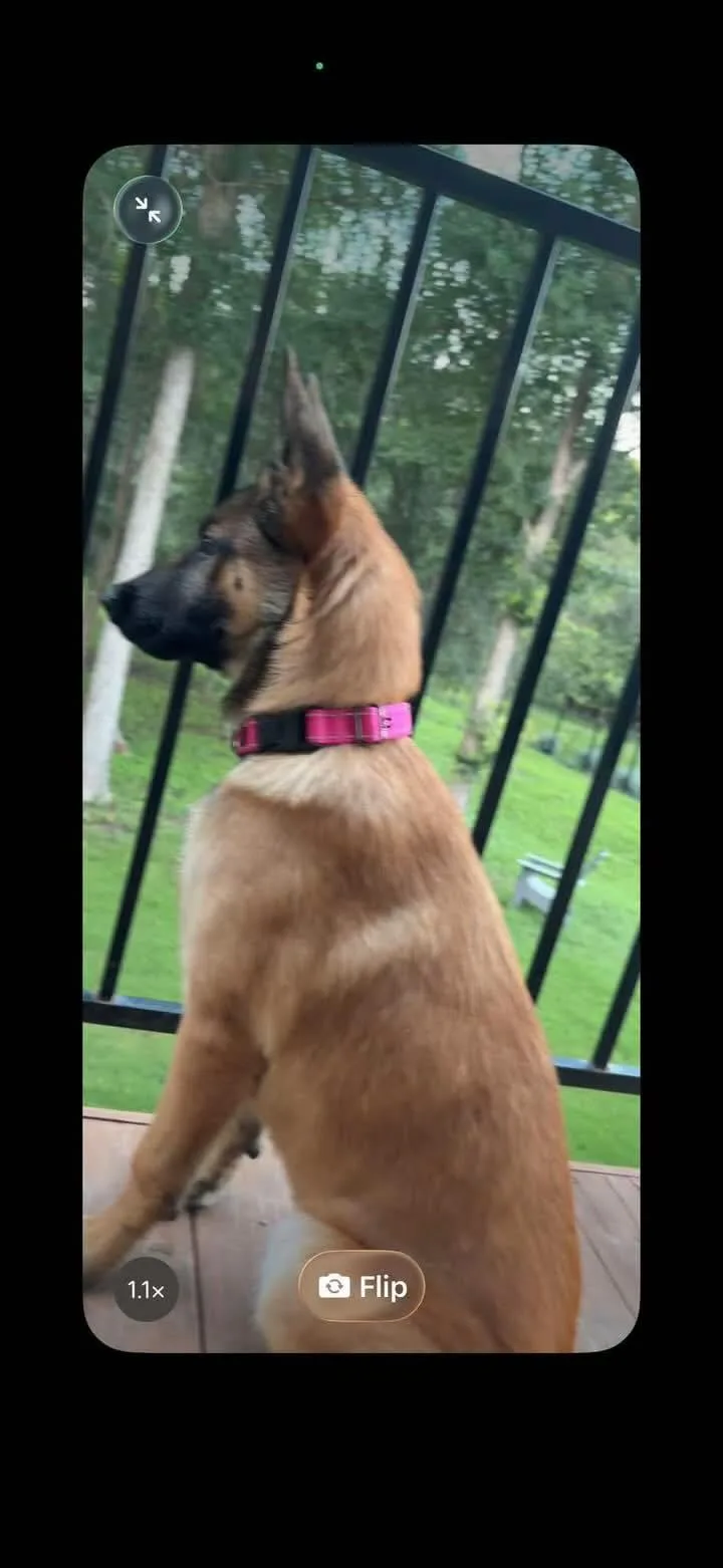 Luka