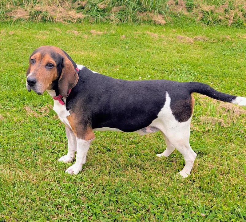 Lenny