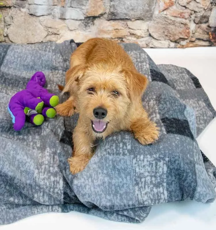 Hamilton thumbnail 2