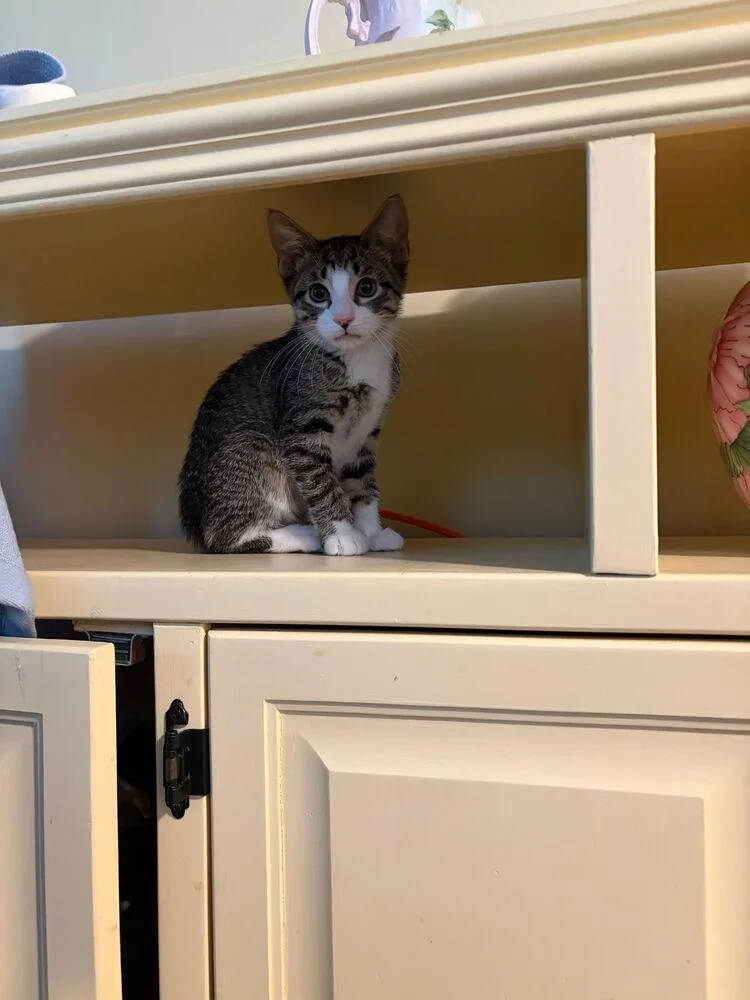 Ernie thumbnail 3