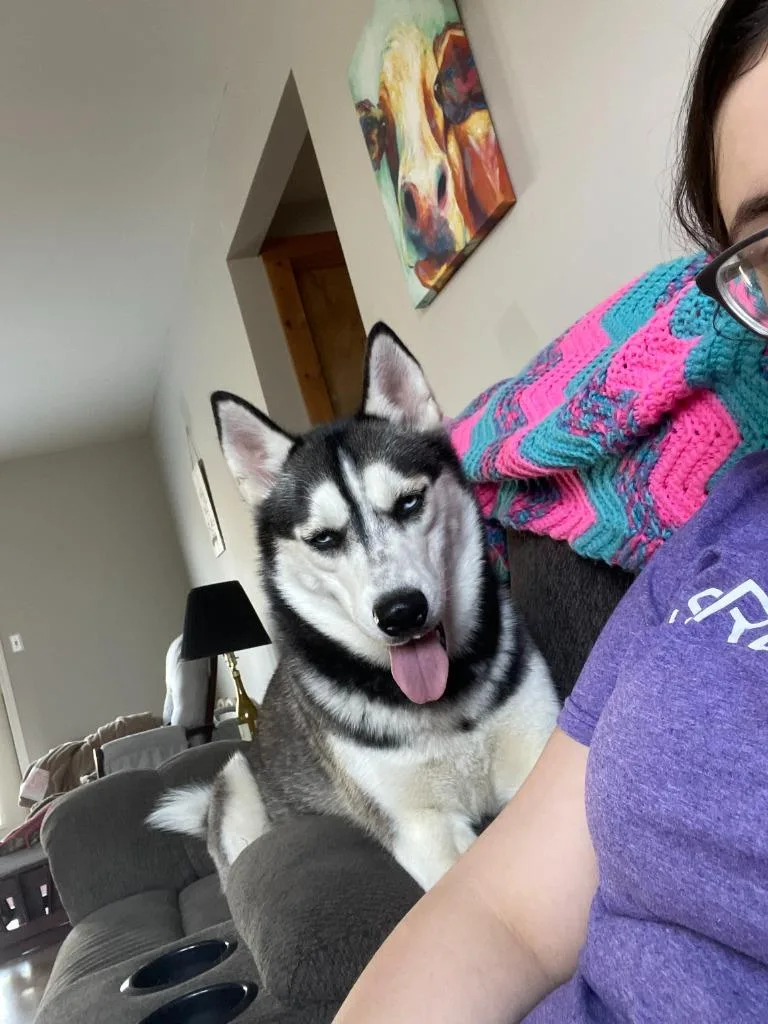 Shiya Courtesy Listing thumbnail 3