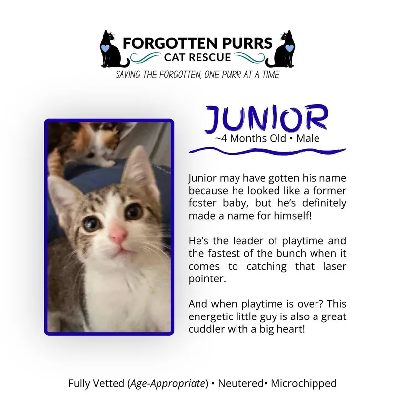 Junior
