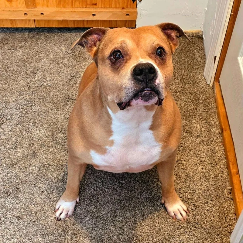 Layla & Artie thumbnail 2