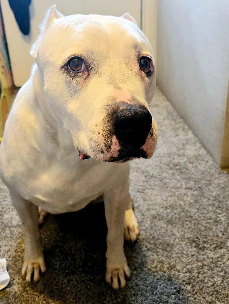 Layla & Artie thumbnail 3