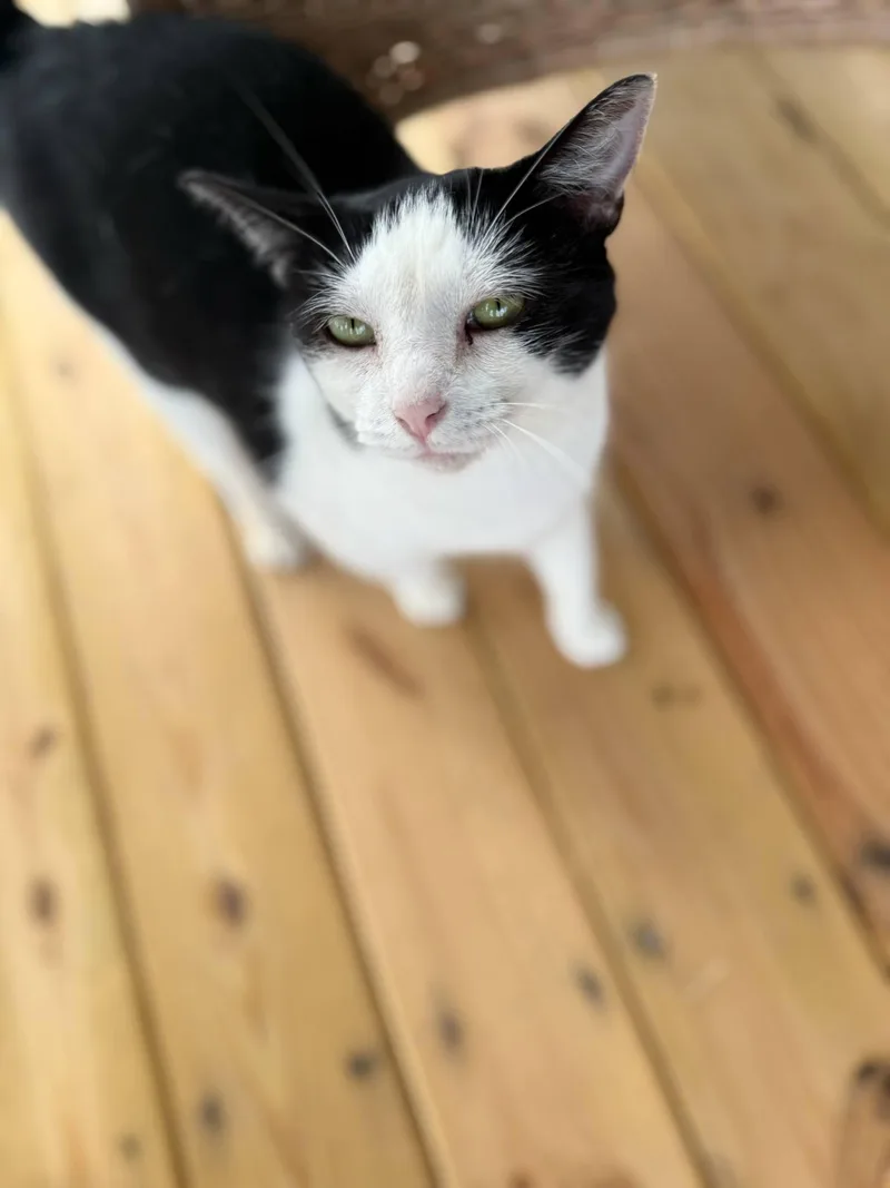 Minnie Md thumbnail 3