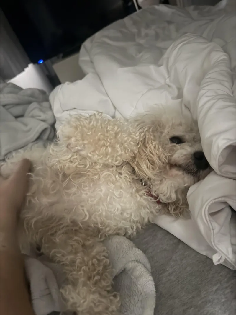 Mallory thumbnail 6