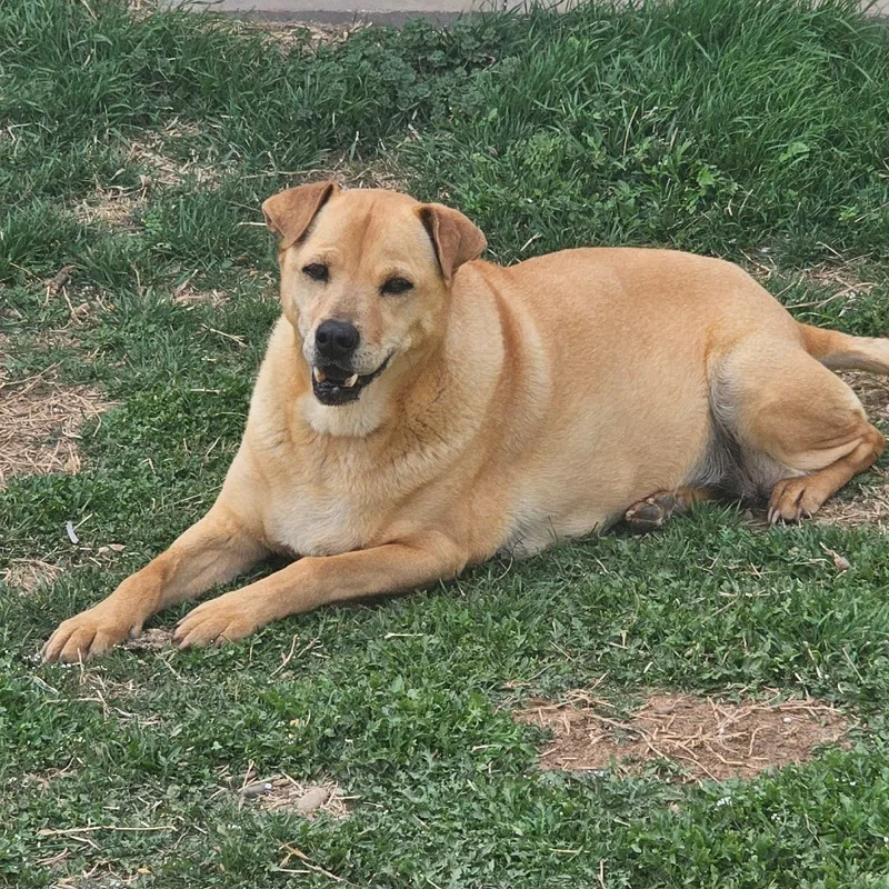 Julie
