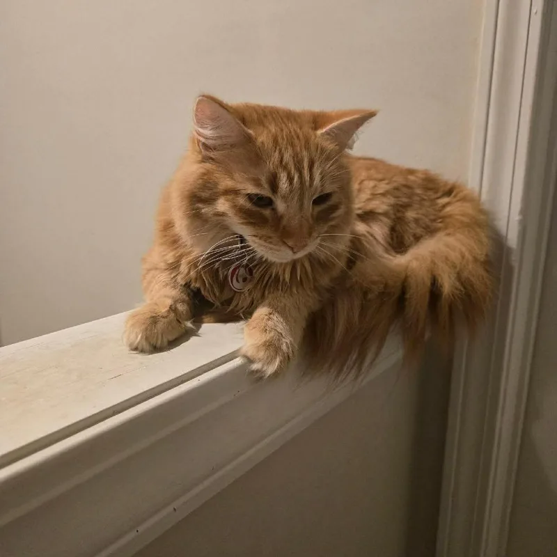 Zuko