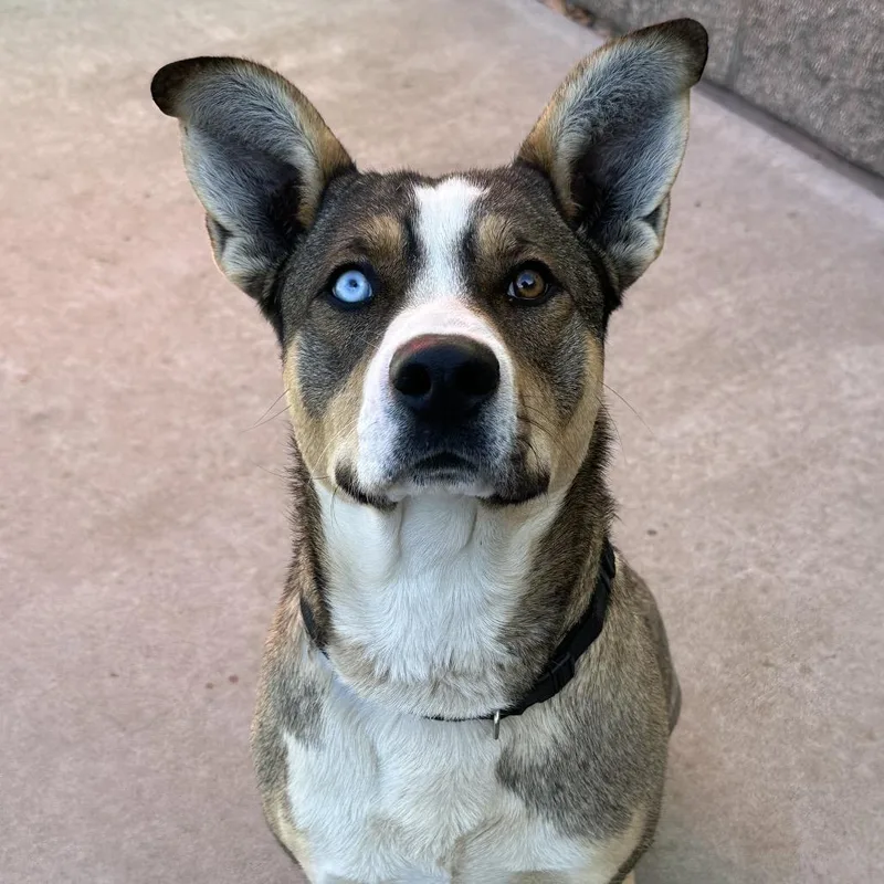 Remington thumbnail 2