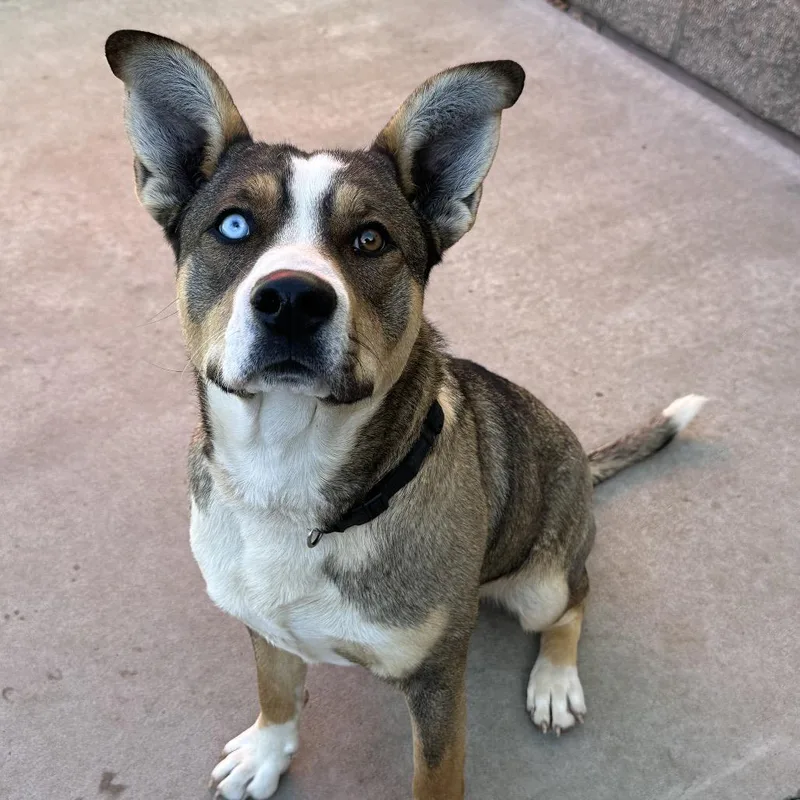 Remington thumbnail 5