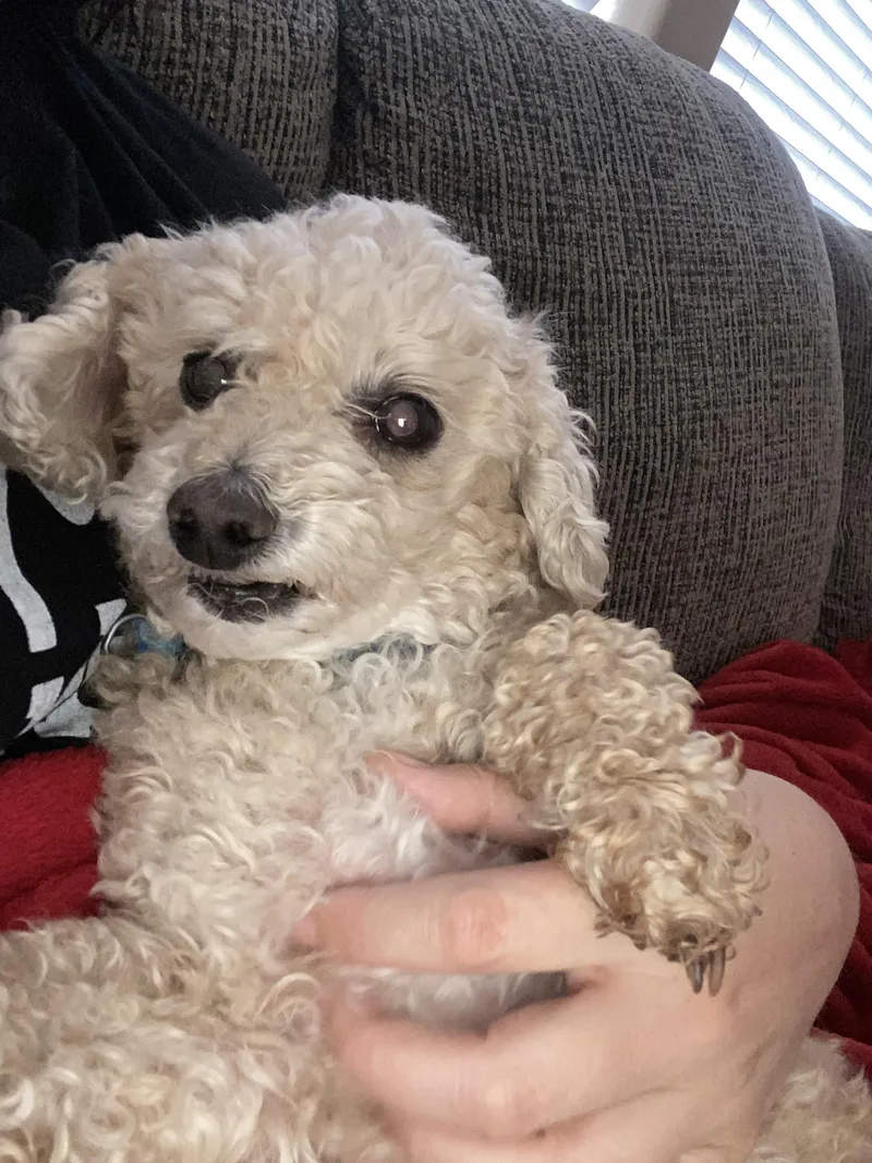 Cody thumbnail 3
