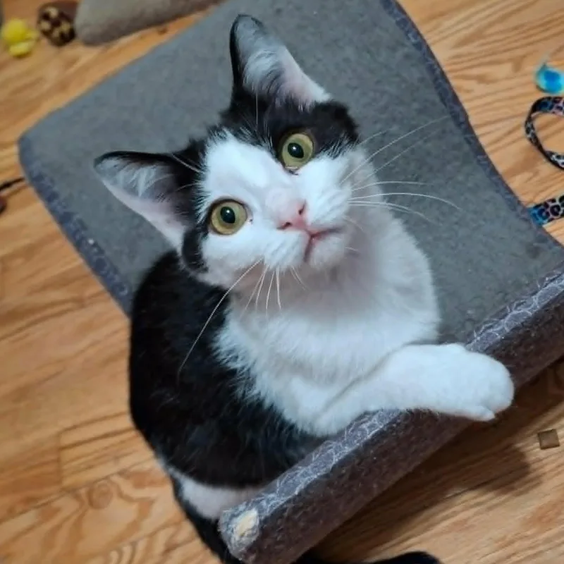 Pistachio And Chunky Monkey thumbnail 3